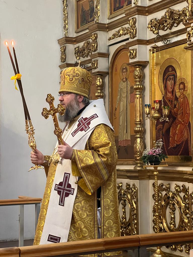 wg66qpveYmc1WEDydwovxlEV0rW7UV83SRv20R0DLVCDnU4P2_73jTDy7SB-HjTFixJoGsbRoj4_HDDpuDOGHL3M