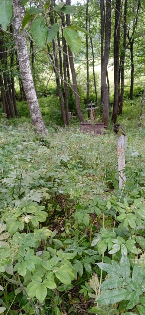 cTV0xe205eIjYQR7E7Pdo9AKR8NFKoPnk7ms0OdmyaKUcKZJn545L-QCIplO-Be7e-5UobMgZ0z9CM8snt7VVsTK