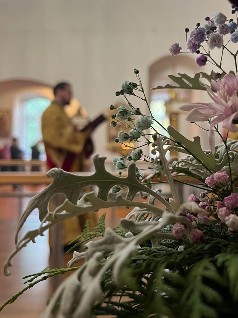 kbfd5QXs_pdMm7MqYE1D7kOFEABQ7QkBrdYudphw8XQbRgSvVdN5qZd93YCM4t_TNMlXFKofpXprN_bHvl4iNMN_