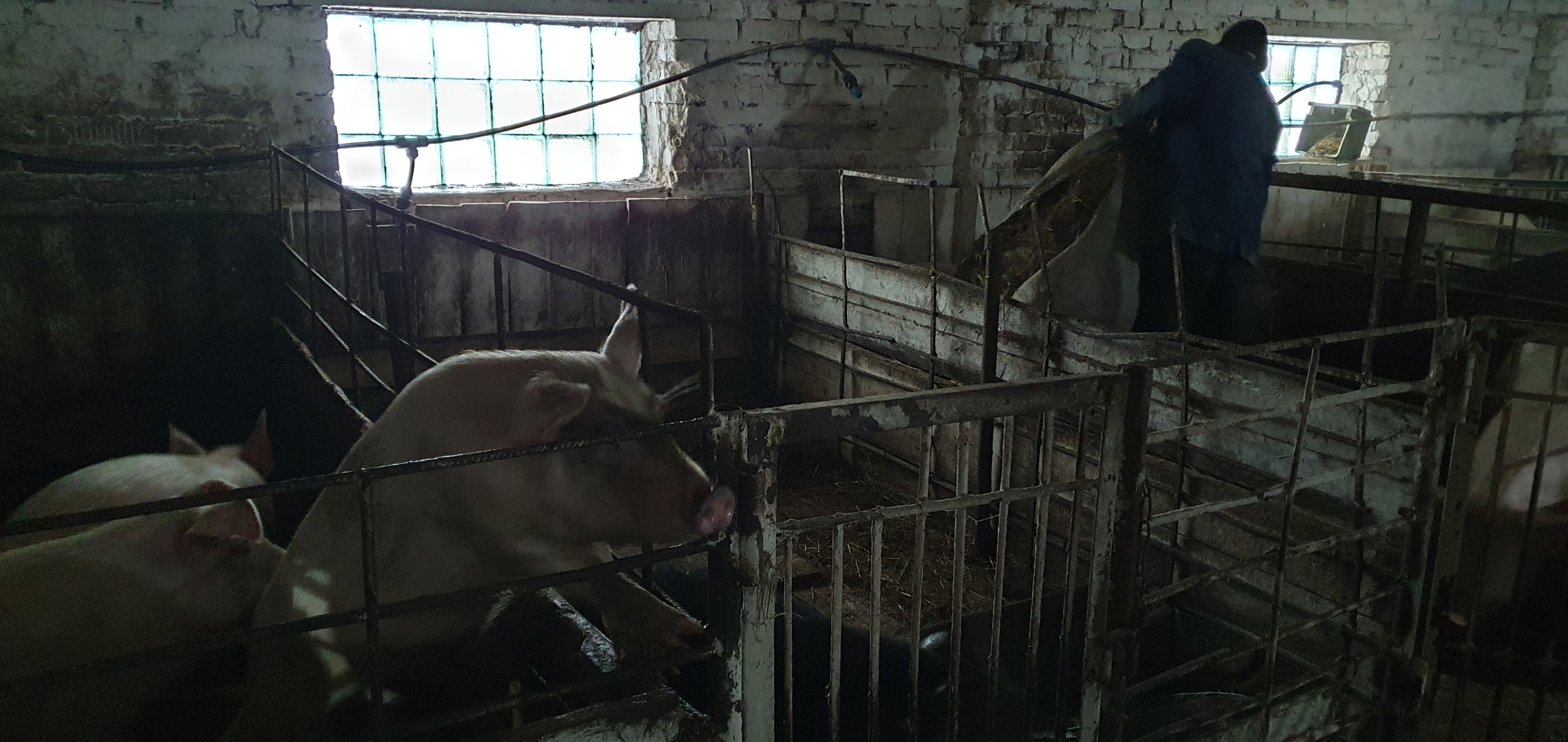 TfnoDGdYyGGiMJoSArQ95hB2gKpUxTGrRRyM9Xq3mhjQ9_cX0bvGTOYSresqXHExWyKB7qvh452_qeFIGU1ft-QU