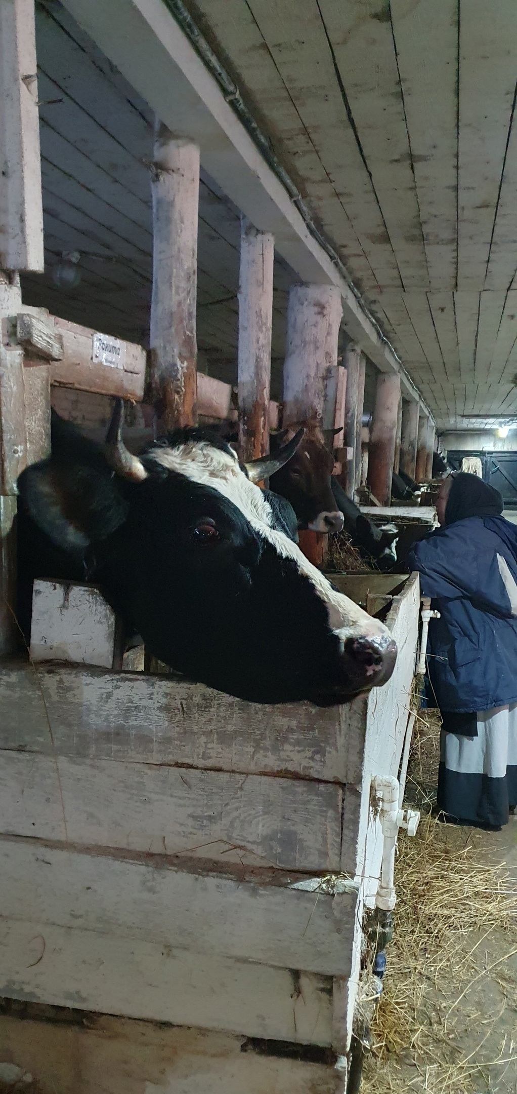 gLxavgutFuzQXzhXBtCYUI8_84xyIO_IgW2rjOK4KKZHhPpeAX-HA4oQE9pFLSnn3cQYvy4FE1lrCTY6kgvKu0bG